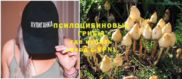 спайс Аркадак