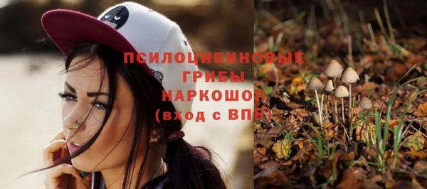 прущие грибы Арсеньев