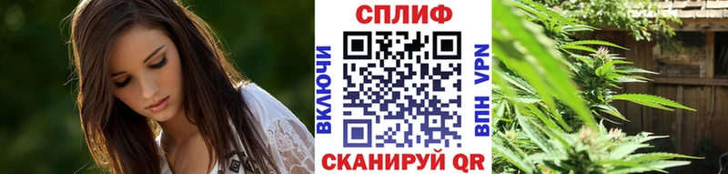 OMG зеркало  Грязовец  Бошки Шишки ГИДРОПОН 